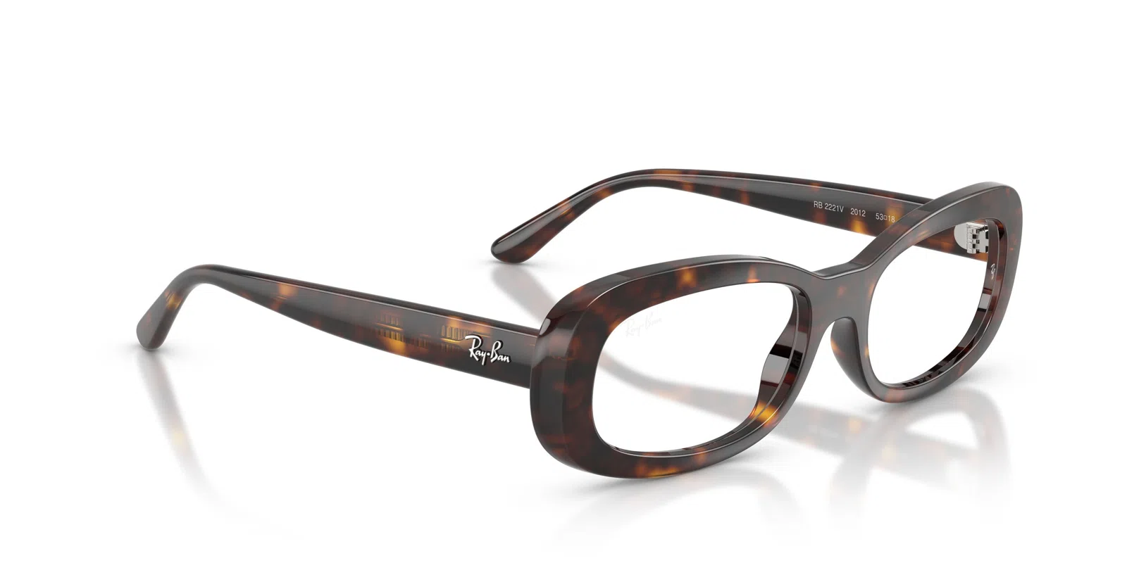Ray-Ban 2221V Eyeglasses - view 14